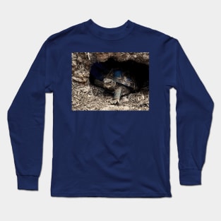 Box Tortoise Long Sleeve T-Shirt